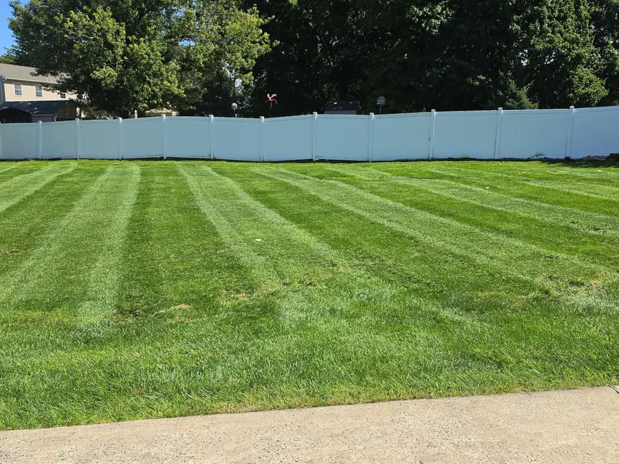 Freshly mown lawn with clean mowing stripes in front of a white fence